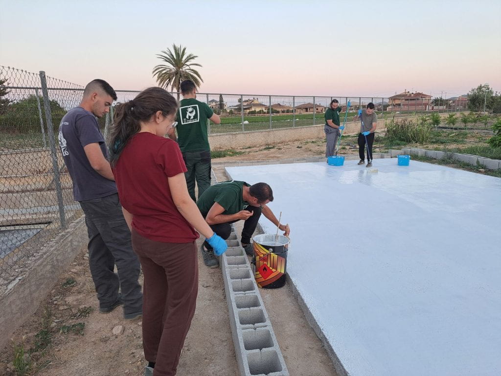 15. Acondicionamiento del pavimento para reducir la porosidad y evitar focos de enfermedades en los cultivos