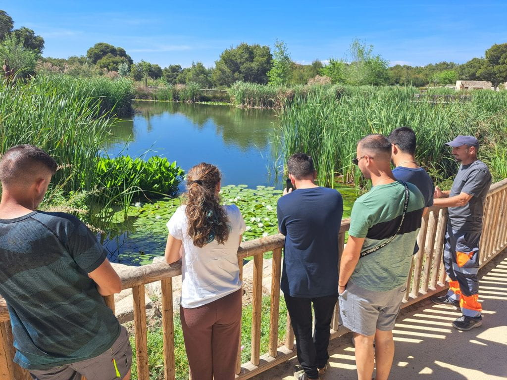 17. Formación realizada por Jorge Cañavate (Aquambiente). Búsqueda de sistemas para la mejora biológica del agua residual generada en el cultivo hidropónico. Lagunas escalonadas con recirculación y oxigenación de agua. Filtrado biológico con juncos y junquillos, aneas, lirios de rio, salicarias, mentas de agua y nenúfares